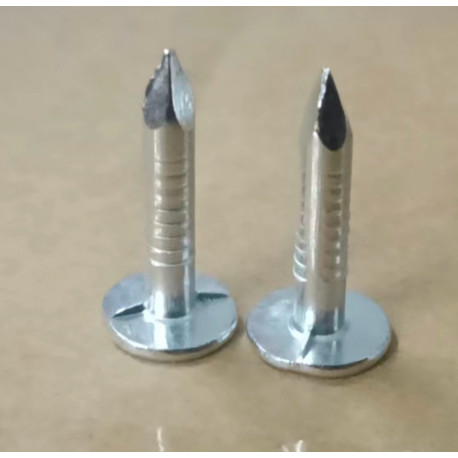 Clavos de cabeza plana para tejas y tejados - longitud 20mm - 500gr - Gardy Shelter